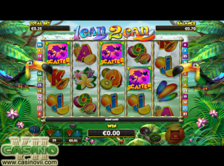 1Can2Can screen shot