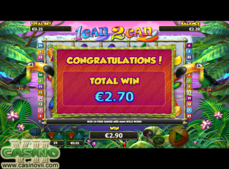 1Can2Can screen shot