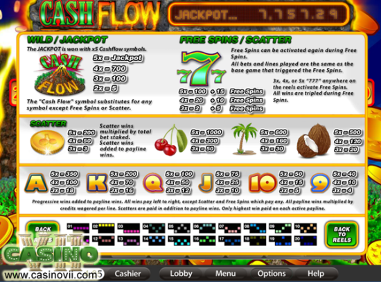 Cash Flow screen shot