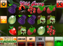 Wild Berry screen shot