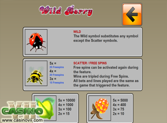 Wild Berry screen shot
