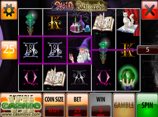 Wild Wizards screen shot